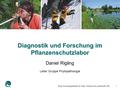 Diagnostik und Forschung im Pflanzenschutzlabor Eidg. Forschungsanstalt für Wald, Schnee und Landschaft WSL1 Daniel Rigling Leiter Gruppe Phytopathologie.