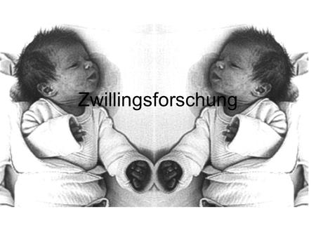 Zwillingsforschung. Entstehung eineiiger Zwillinge Erste Teilung nach 24h Zwillinge in jeweils einer eigenen Fruchtblase (Amnion) mit eigener Plazenta.