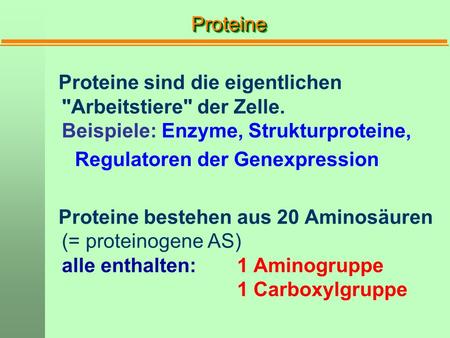 Proteine Proteine sind die eigentlichen Arbeitstiere der Zelle. Beispiele: Enzyme, Strukturproteine, Regulatoren der Genexpression Proteine bestehen.