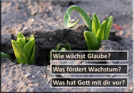 Wie wächst Glaube? Was fördert Wachstum? Was hat Gott mit dir vor?