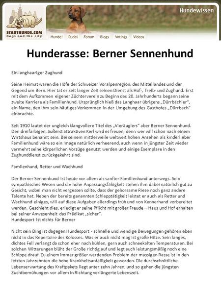Hunderasse: Berner Sennenhund Ein langhaariger Zughund Seine Heimat waren die Höfe der Schweizer Voralpenregion, des Mittellandes und der Gegend um Bern.