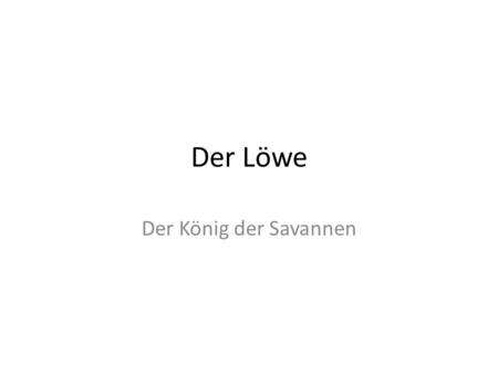Der Löwe Der König der Savannen.