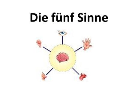 Die fünf Sinne.