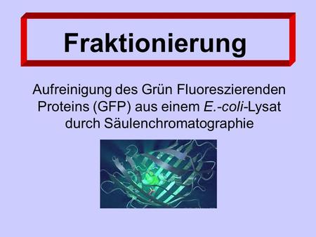 Fraktionierung Aufreinigung des Grün Fluoreszierenden Proteins (GFP) aus einem E.-coli-Lysat durch Säulenchromatographie.