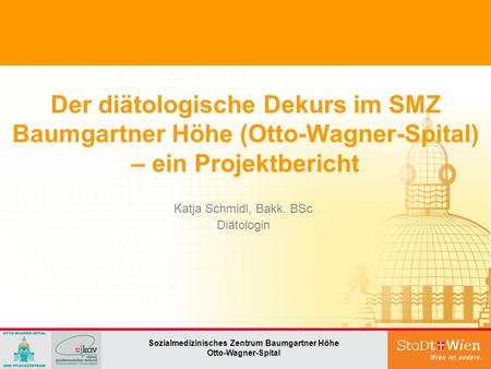 Der diätologische Dekurs im SMZ Baumgartner Höhe (Otto-Wagner-Spital) – ein Projektbericht Sozialmedizinisches Zentrum Baumgartner Höhe Otto-Wagner-Spital.