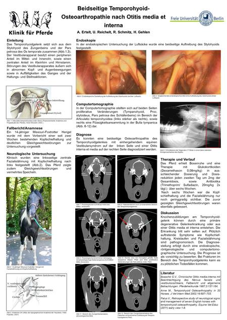 Beidseitige Temporohyoid- Osteoarthropathie nach Otitis media et interna A. Ertelt, U. Reichelt, R. Schmitz, H. Gehlen Fallbericht/Anamnese Ein 14-jähriger.