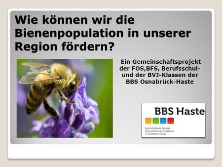 Wie können wir die Bienenpopulation in unserer Region fördern? Ein Gemeinschaftsprojekt der FOS,BFS, Berufsschul- und der BVJ-Klassen der BBS Osnabrück-Haste.