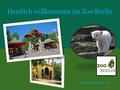 Herzlich willkommen im Zoo Berlin Dominik Viljac, 6c.