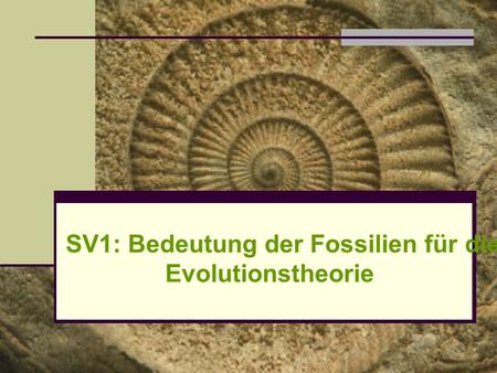 SV1: Bedeutung der Fossilien für die Evolutionstheorie