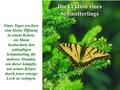 Die Lektion eines Schmetterlings Eines Tages erschien eine kleine Öffnung in einem Kokon; ein Mann beobachtete den zukünftigen Schmetterling für mehrere.