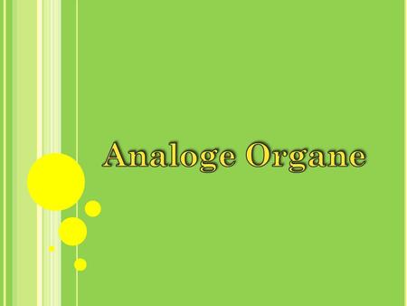 Analoge Organe.