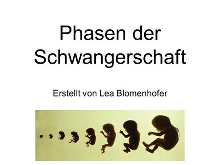 Phasen der Schwangerschaft Erstellt von Lea Blomenhofer.