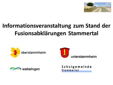 Informationsveranstaltung zum Stand der Fusionsabklärungen Stammertal.