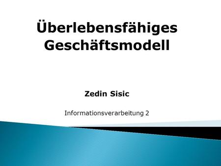 Überlebensfähiges Geschäftsmodell Zedin Sisic Informationsverarbeitung 2.