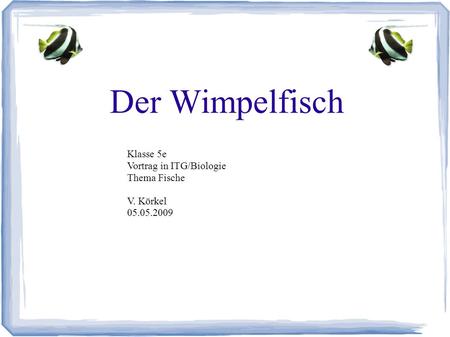 Der Wimpelfisch Klasse 5e Vortrag in ITG/Biologie Thema Fische V. Körkel 05.05.2009.