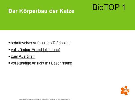 © Österreichischer Bundesverlag Schulbuch GmbH & Co KG |  BioTOP 1 Der Körperbau der Katze  schrittweiser Aufbau des Tafelbildesschrittweiser.