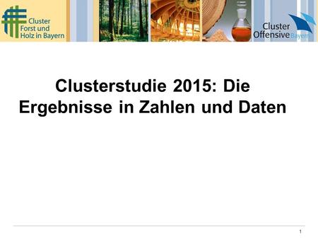 1 Clusterstudie 2015: Die Ergebnisse in Zahlen und Daten.