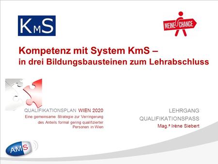 Kompetenz mit System KmS – in drei Bildungsbausteinen zum Lehrabschluss QUALIFIKATIONSPLAN WIEN 2020 Eine gemeinsame Strategie zur Verringerung des Anteils.