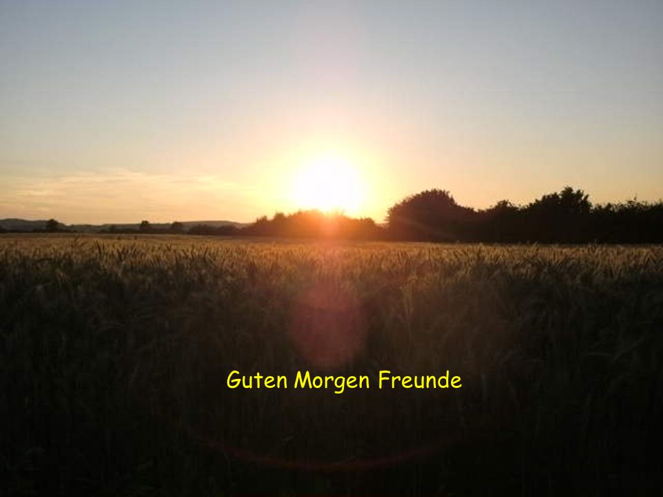 Guten morgen freundschaft