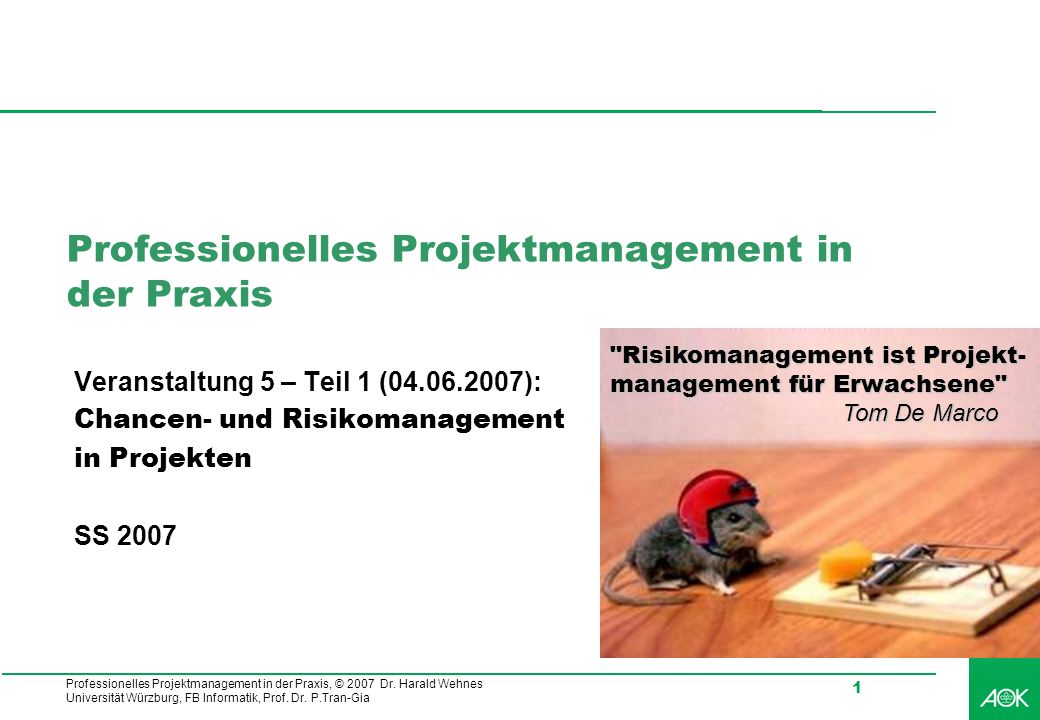 Professionelles Projektmanagement In Der Praxis Ppt Video Online Herunterladen
