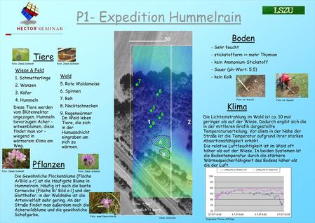 P1- Expedition Hummelrain