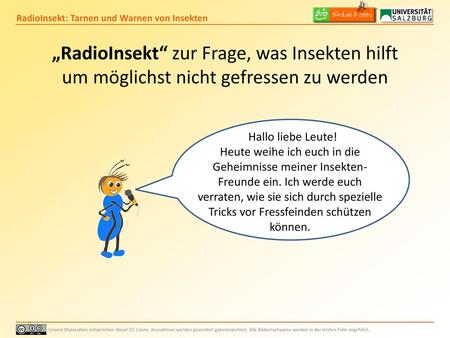 „RadioInsekt“ zur Frage, was Insekten hilft