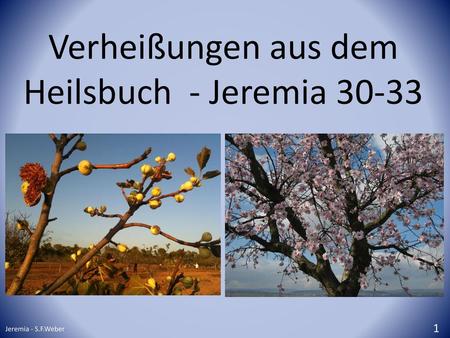 Verheißungen aus dem Heilsbuch - Jeremia 30-33