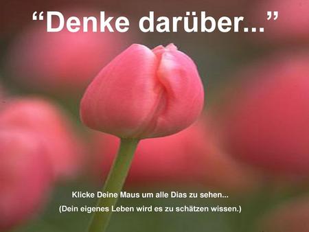 “Denke darüber...” Klicke Deine Maus um alle Dias zu sehen...