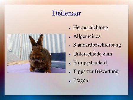 Deilenaar Herauszüchtung Allgemeines Standardbeschreibung