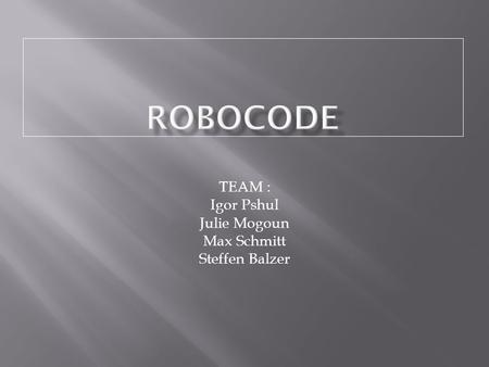 TEAM : Igor Pshul Julie Mogoun Max Schmitt Steffen Balzer.