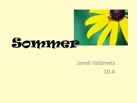 Sommer Janeli Valdmets 10.A.