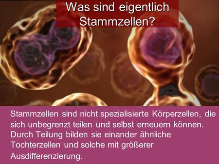 Was sind eigentlich Stammzellen?
