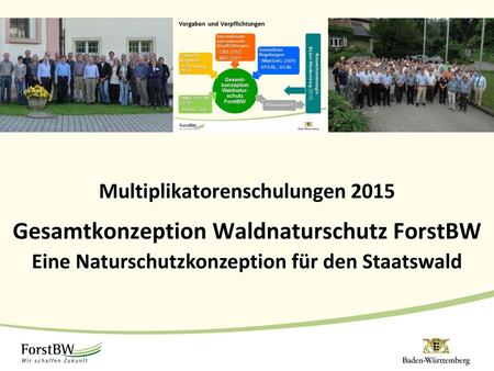 Gesamtkonzeption Waldnaturschutz ForstBW