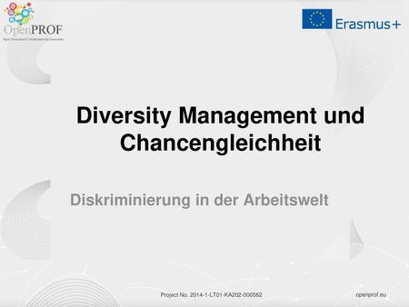 Diversity Management und Chancengleichheit