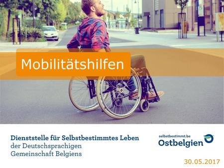 Mobilitätshilfen 30.05.2017 Dienststelle für Selbstbestimmtes Leben.