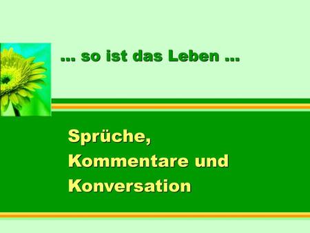 Sprüche, Kommentare und Konversation