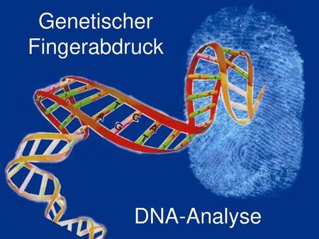 Genetischer Fingerabdruck