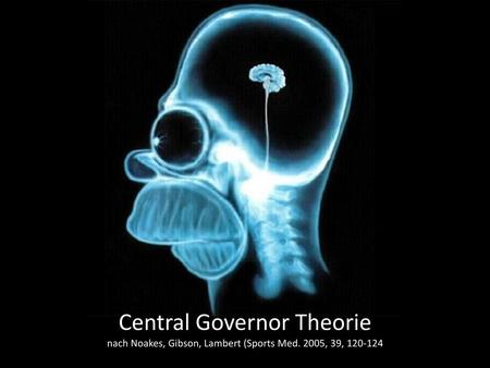 Central Governor Theorie