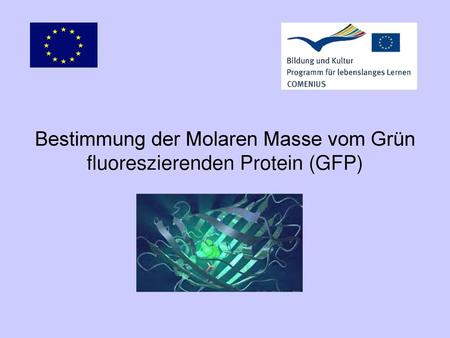 Bestimmung der Molaren Masse vom Grün fluoreszierenden Protein (GFP)