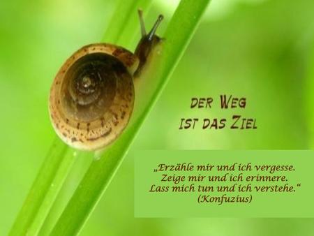 „Erzähle mir und ich vergesse. Zeige mir und ich erinnere.