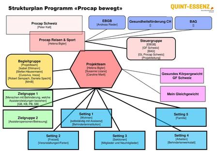 Strukturplan Programm «Procap bewegt»