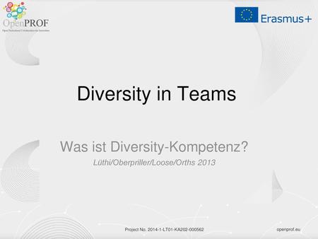 Was ist Diversity-Kompetenz? Lüthi/Oberpriller/Loose/Orths 2013
