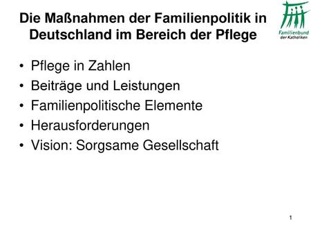 Die Maßnahmen der Familienpolitik in Deutschland im Bereich der Pflege