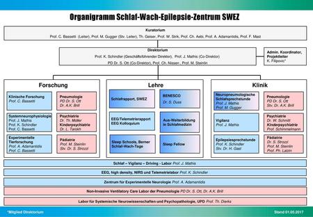 Organigramm Schlaf-Wach-Epilepsie-Zentrum SWEZ