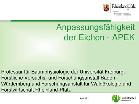 Anpassungsfähigkeit der Eichen - APEK