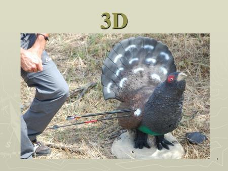 3D.