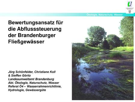 Bewertungsansatz für die Abflusssteuerung der Brandenburger