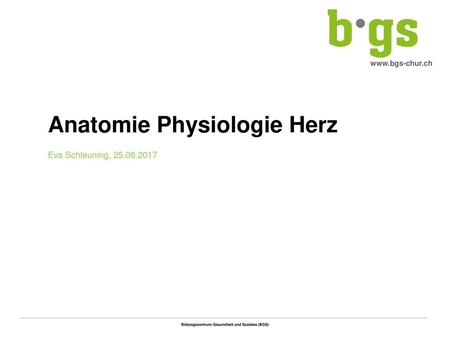 Anatomie Physiologie Herz