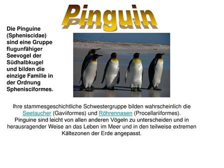 Pinguin Die Pinguine (Spheniscidae) sind eine Gruppe flugunfähiger Seevogel der Südhalbkugel und bilden die einzige Familie in der Ordnung Sphenisciformes.