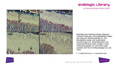 Abbildung mod. nach Troib A et al. 2016